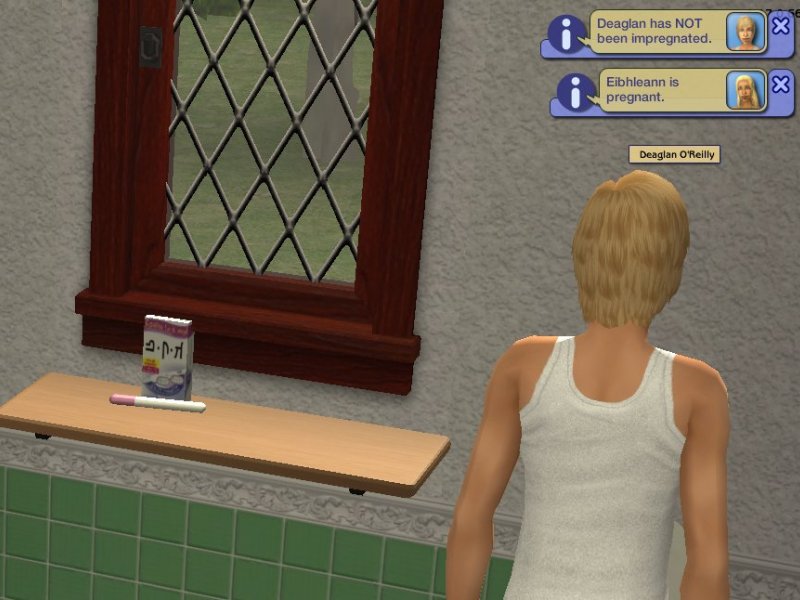 Mod The Sims - Pregnancy Tests For Males